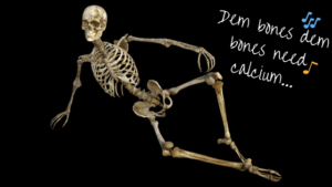 Bones need calcium